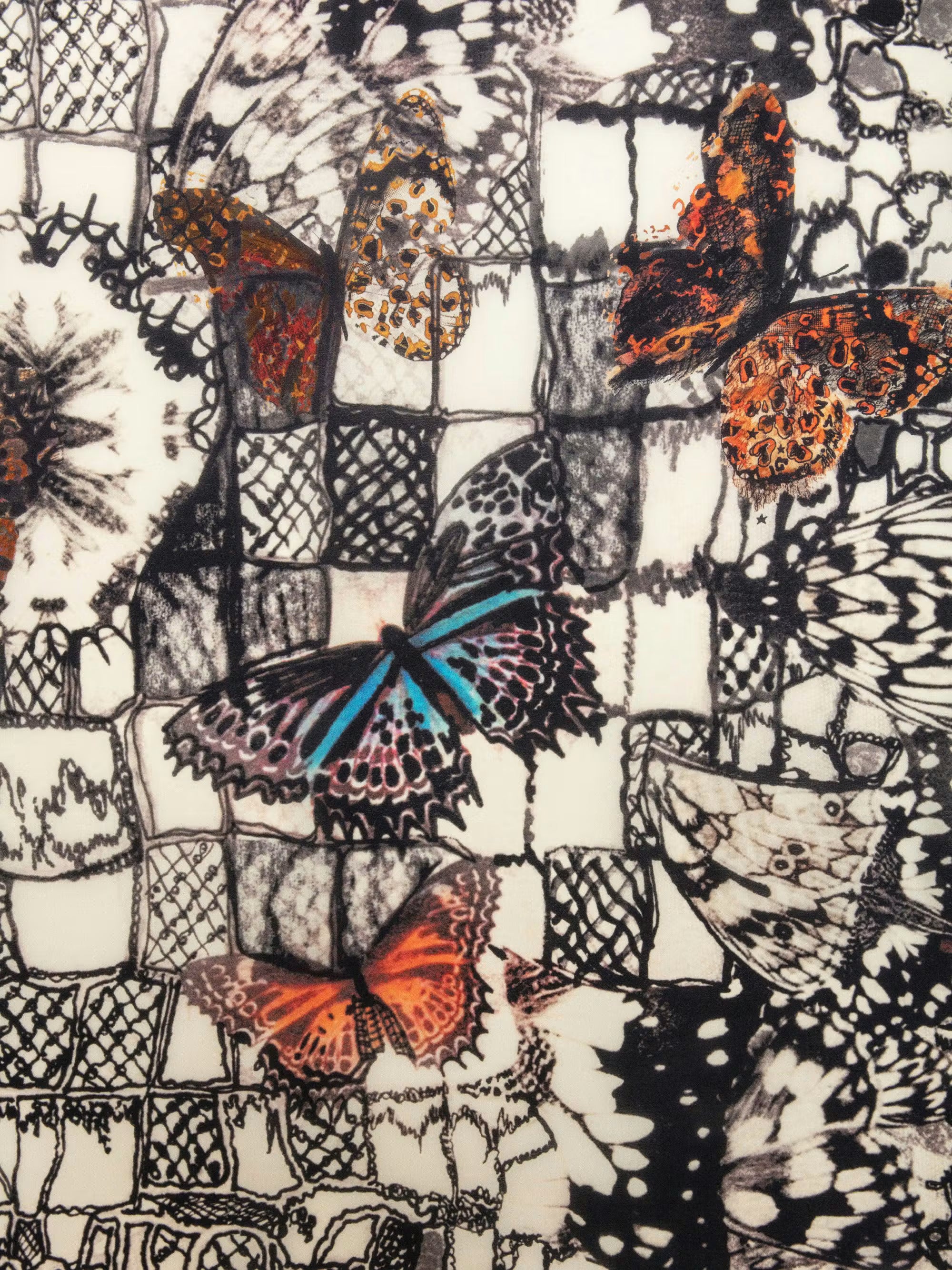 KERRY BUTTERFLY