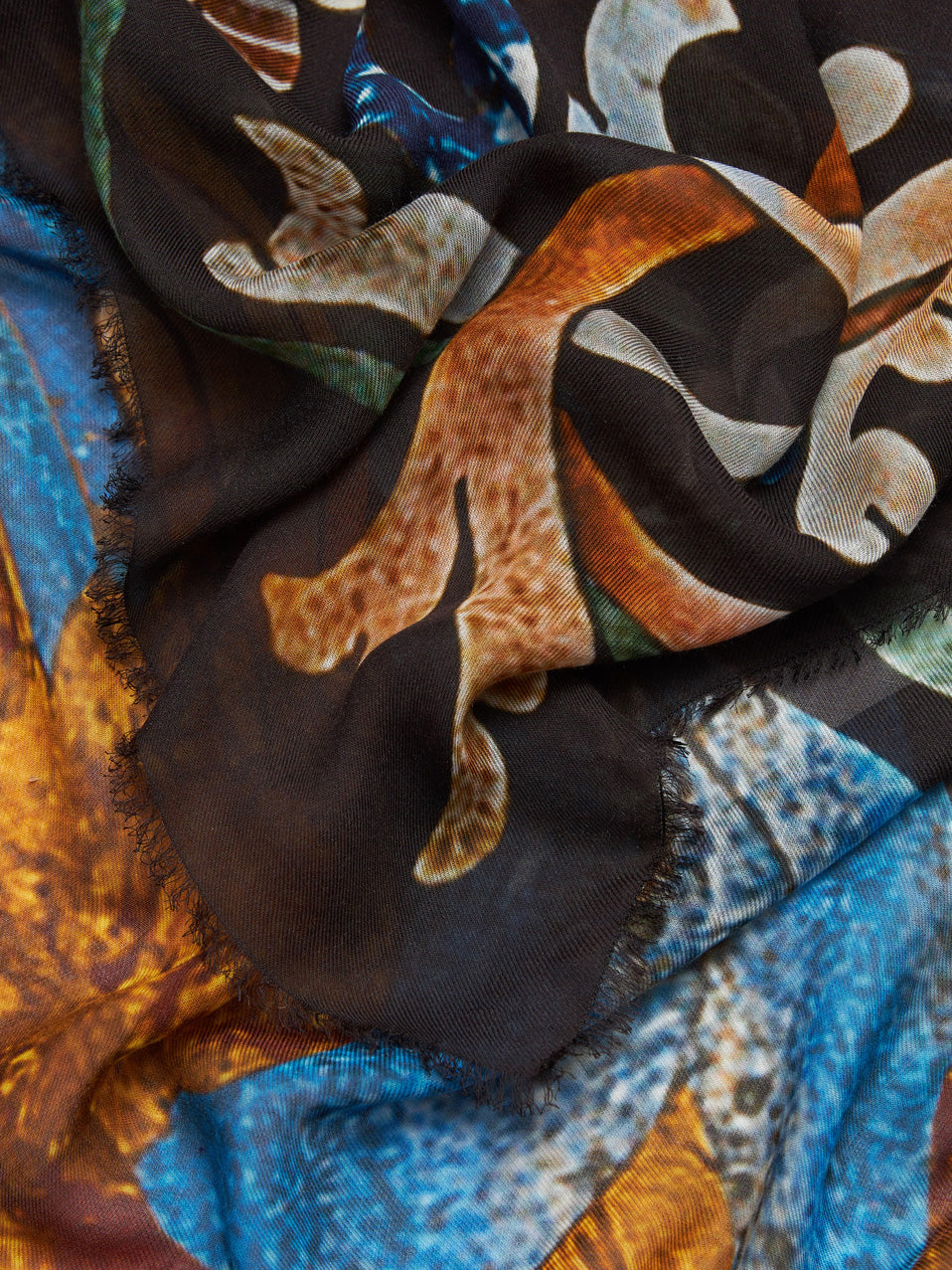 Shawl Pappagallo